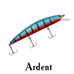 Ardent