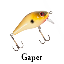 Gaper