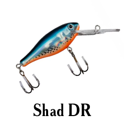 Shad DR